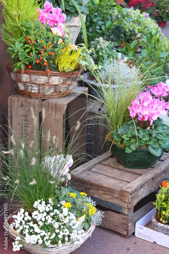 marché au fleurs