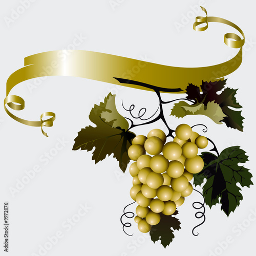 Grapes With Leaves And Ribbon