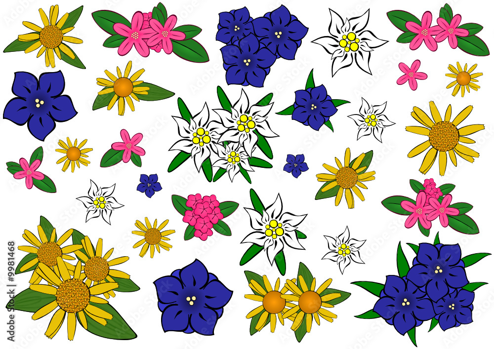 Alpenflora