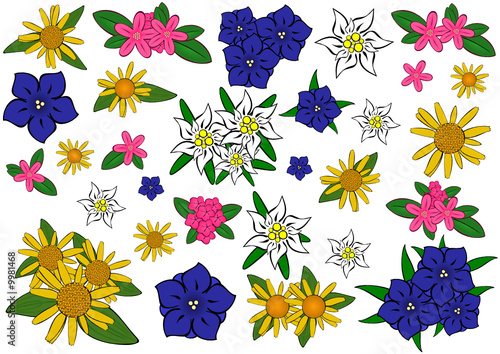 Alpenflora