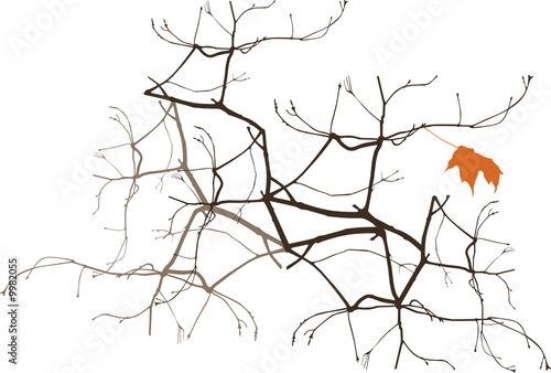 mood_of_autumn