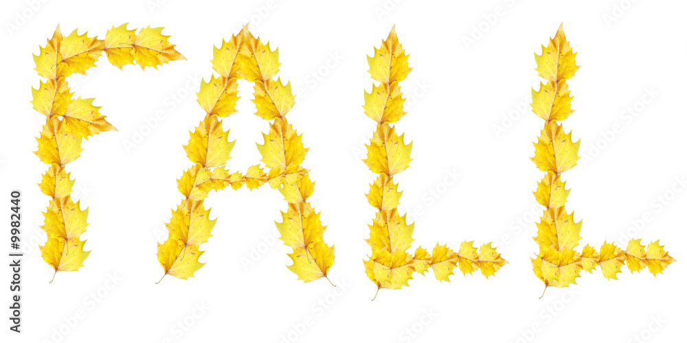 fall, written with yellow birch leaves on a white background fall, written with yellow birch leaves on a white background