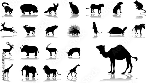 Big set icons. Animals