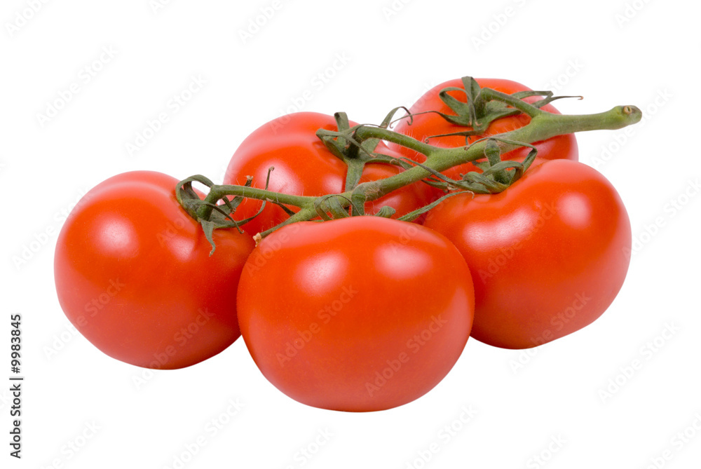 Branch of red fresh tomatoes on white background Branch of red fresh tomatoes on white background