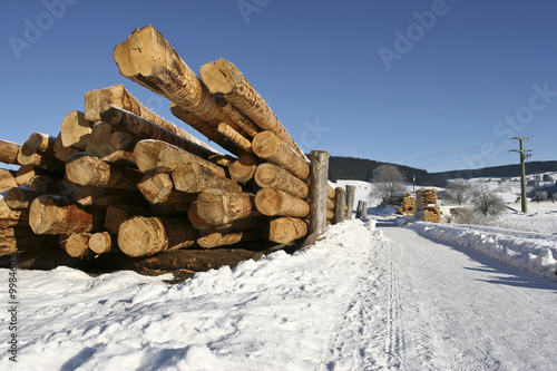 Eingeschneiter Holzstapel zur Weiterverarbeitung