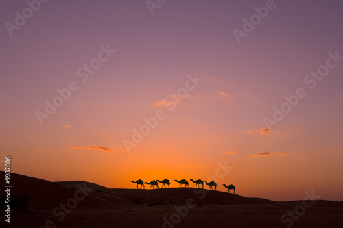 Kamelkarawane bei Sonnenuntergang in der Wüste photo