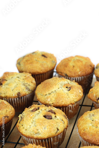 Muffins on a rack with copy space at the top