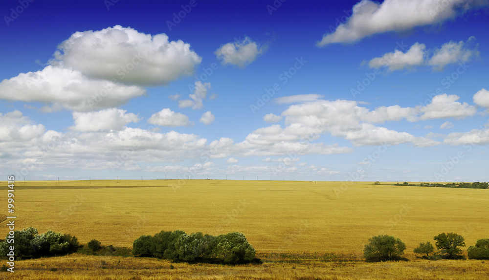 Fototapeta premium Autumn landscape