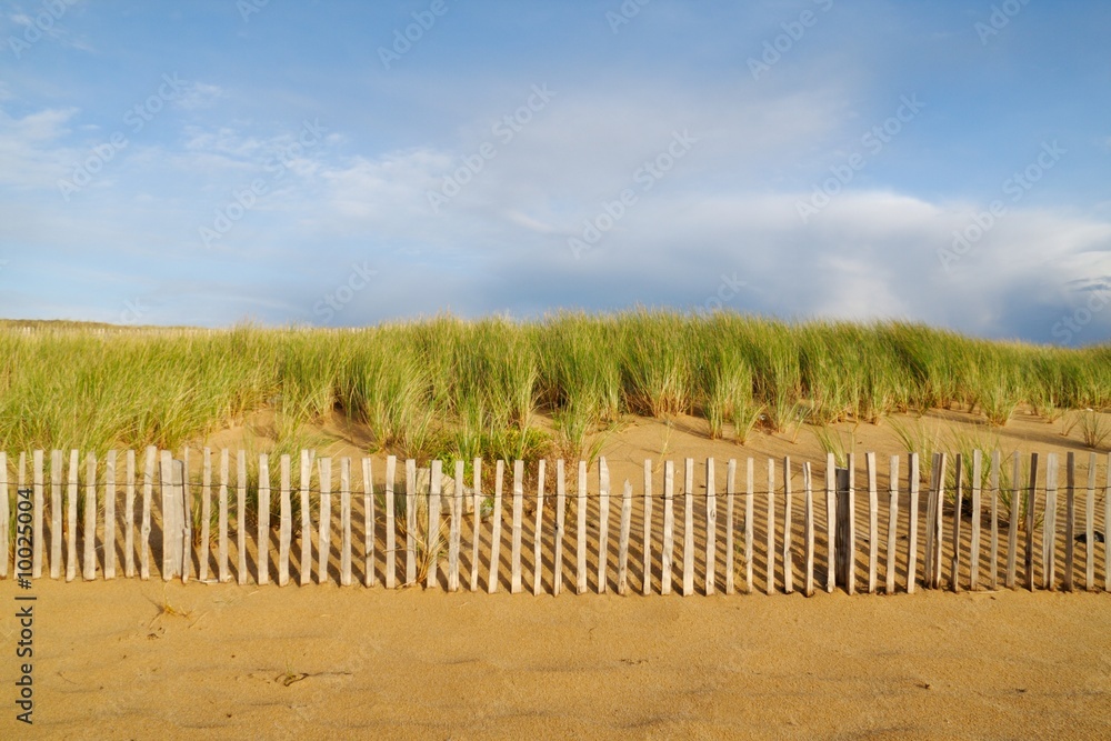 Fototapeta premium La dune