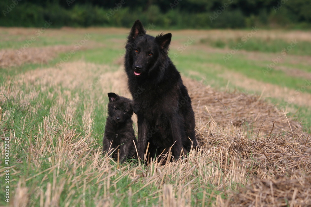 Affection et tendresse maternelle