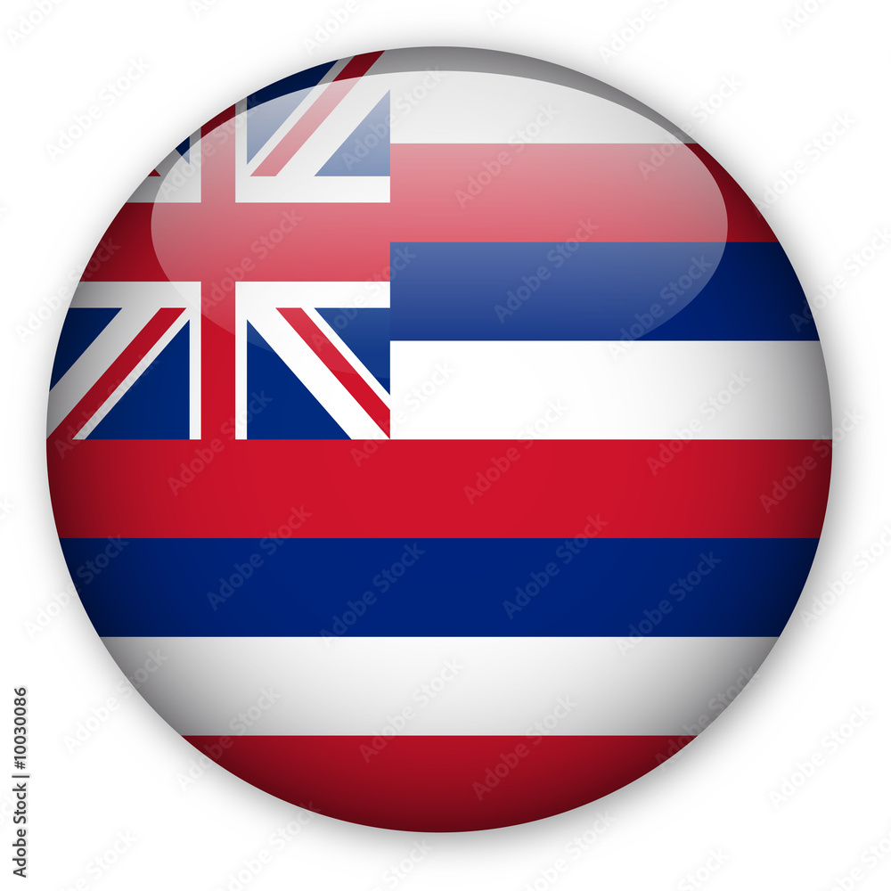 Hawaii state flag button Hawaii state flag button