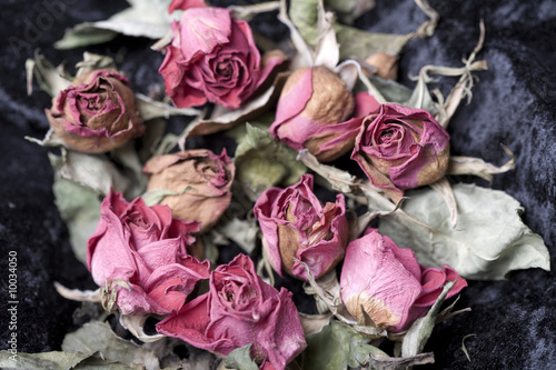 Photos Verwelkte Rosen als Metapher für Vergänglichkeit