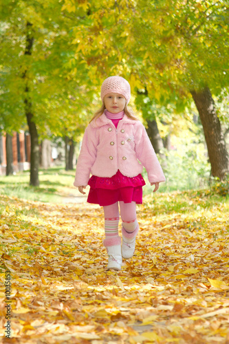 The little girl on walk in park in the autumn