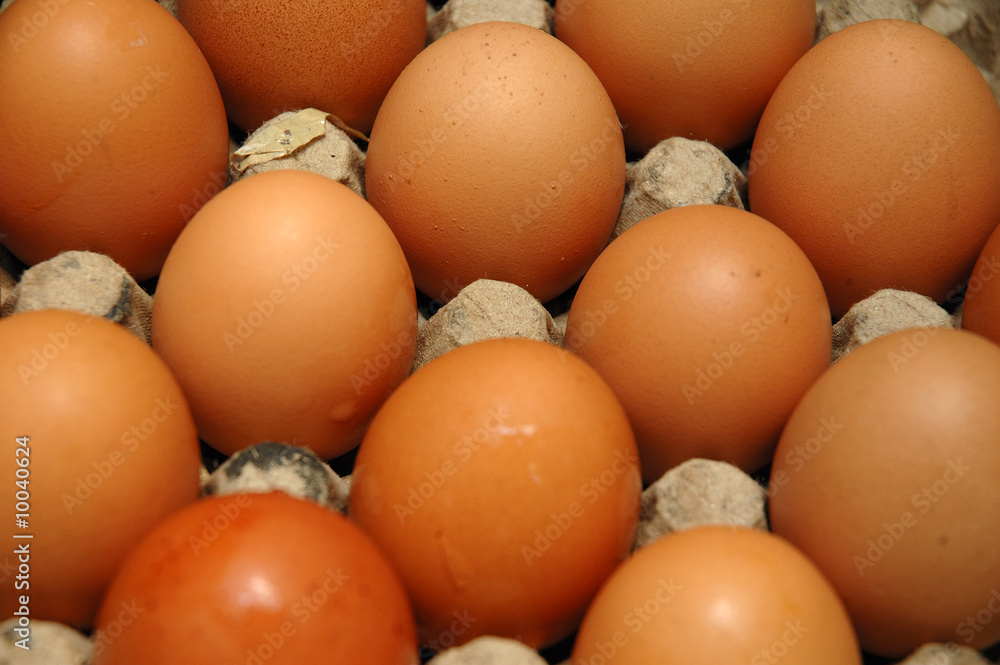 egg egg