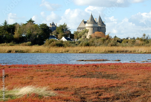 château fort photo