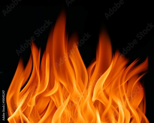 Fire flames background (texture)