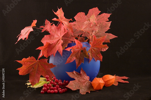 multi-coloured autumn leaves in a vase