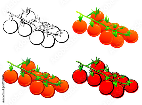 Cherry Tomato