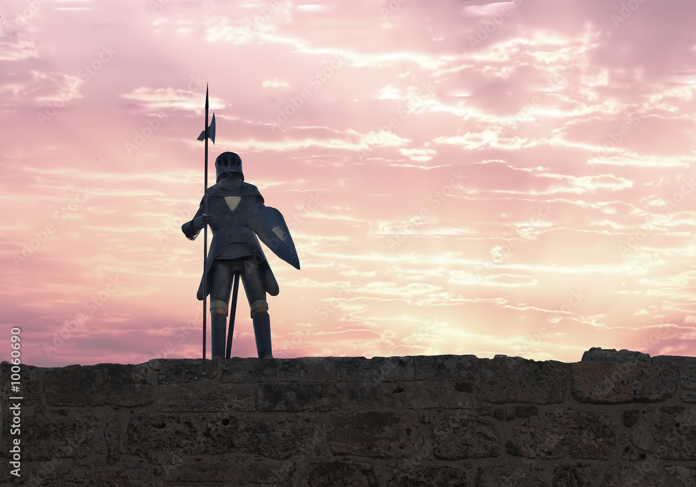Fotografie A knight with halberd in black armour