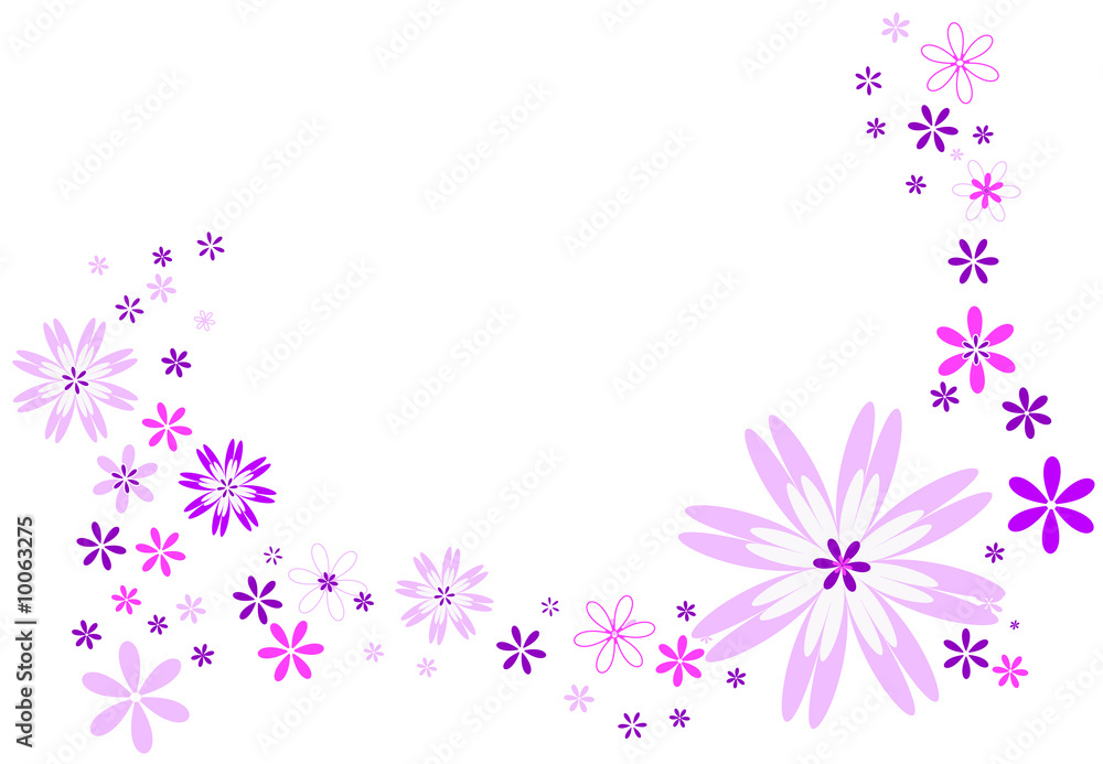 Fleurs roses, violettes et blanches sur fond blanc