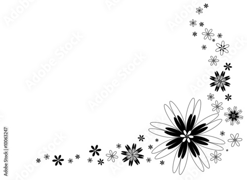 Fond graphique fleurs blanches et noires