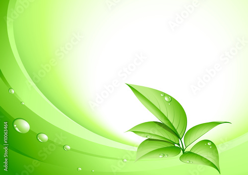 plante verte et fond nature