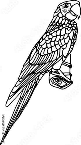 vector - contour ara isolated on white background