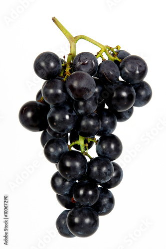grappolo uva fragola vendemmia photo