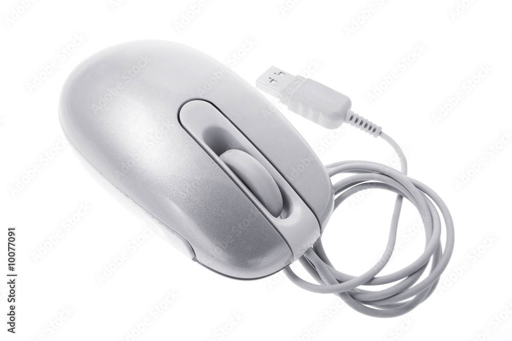Computer Mouse on Isolated White Background Computer Mouse on Isolated White Background