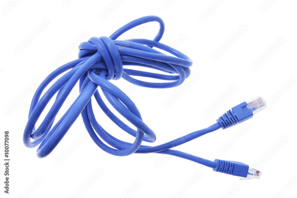Network Cable on Isolated White Background Network Cable on Isolated White Background