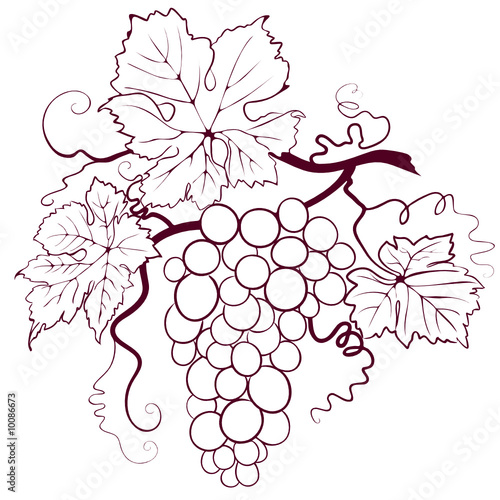 Grapes With Leaves