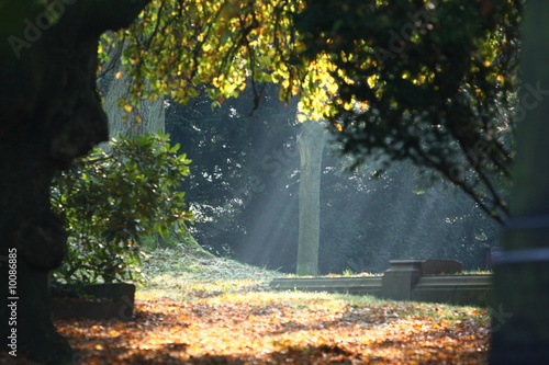 Herbst