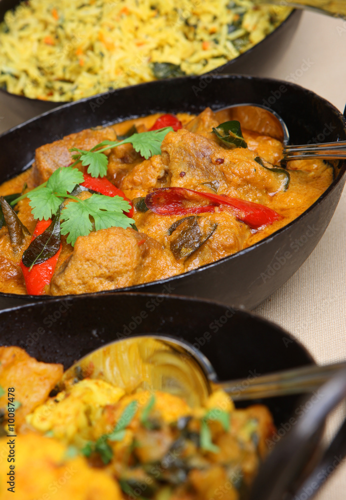 Lamb korma with rice and vegetable curry. Lamb korma with rice and vegetable curry.