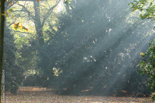 Herbst