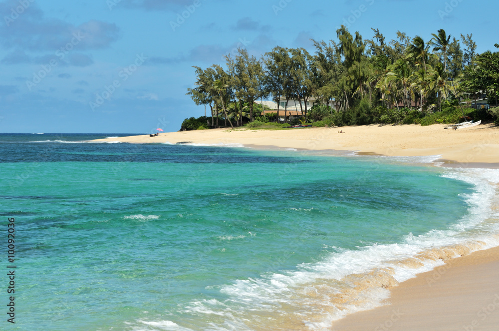 Tropical beach scene on a sunny day in Oahu, Hawaii Tropical beach scene on a sunny day in Oahu, Hawaii