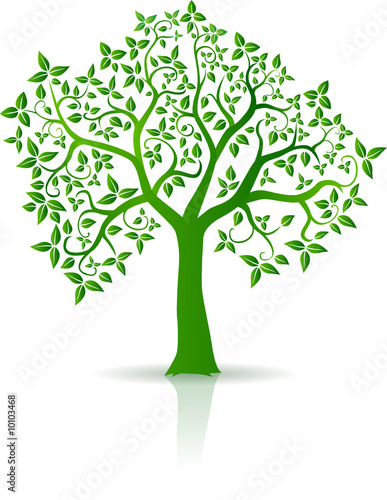 arbre du printemps