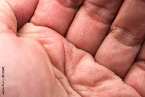 open hand and fingers close up (adult hand)