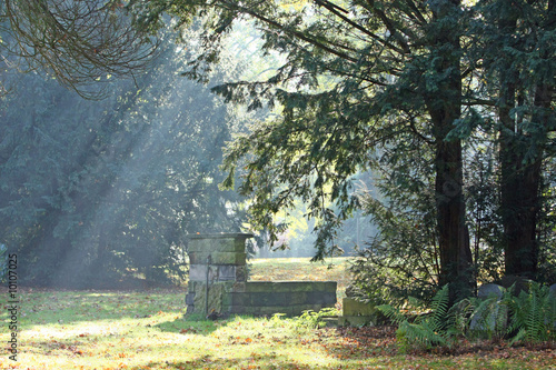 herbst