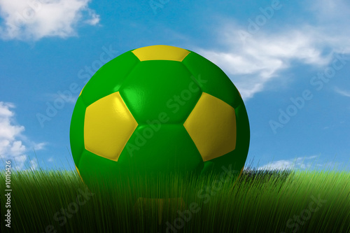 Soccer Ball in grass