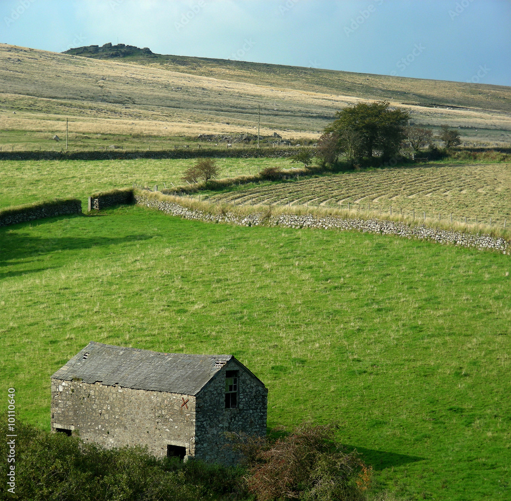 Obraz premium The wild rural landscape of Dartmoor, England.
