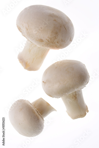 White button champignons isolated on white background
