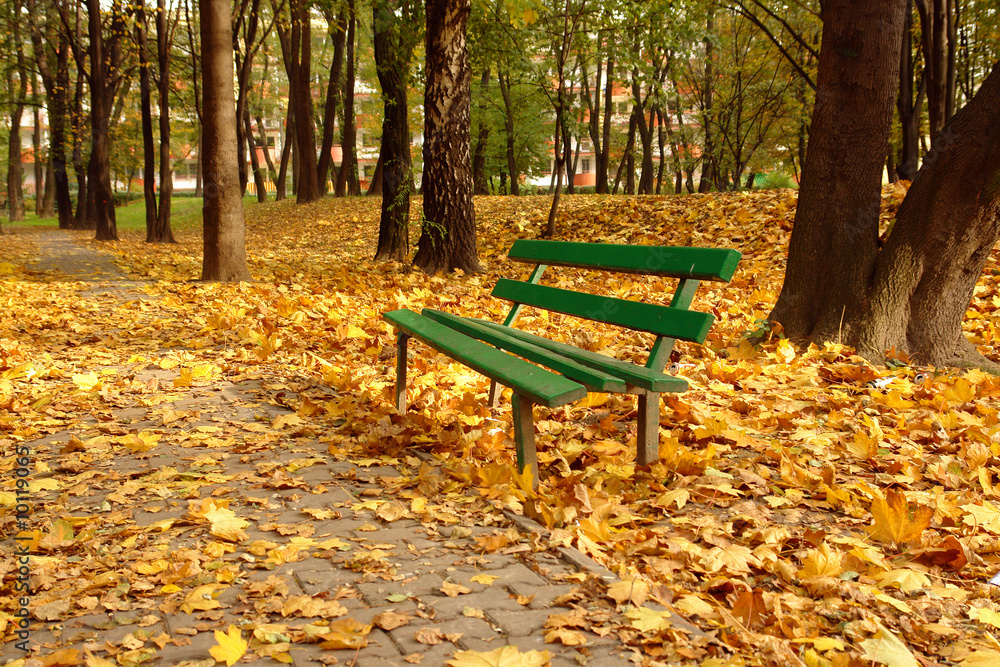 Park bench in fall park