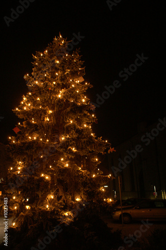 Weihnachtsbaum mit Beleuchtung