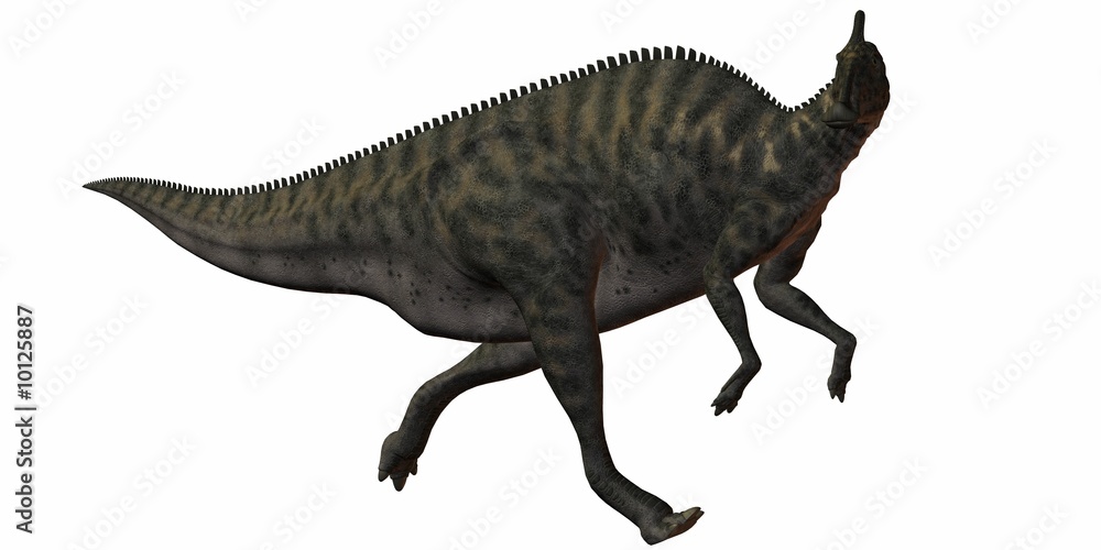Fototapeta premium Saurolophus Angustirostris-3D Dinosaurier
