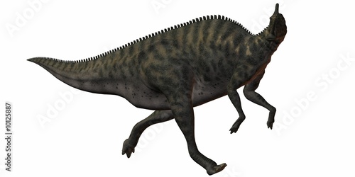 Saurolophus Angustirostris-3D Dinosaurier © Andreas Meyer