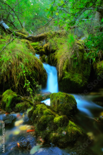 Brook in the village of Vevcani  Macedonia