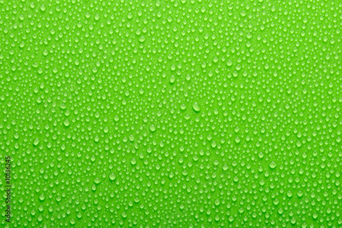 Water drops on a green background