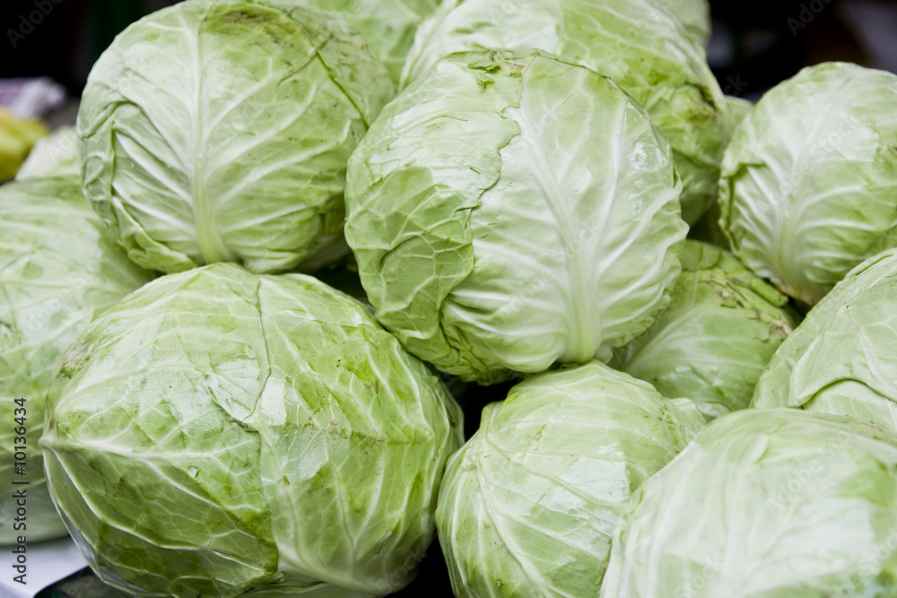 rows of cabbage saling in a supermarket rows of cabbage saling in a supermarket