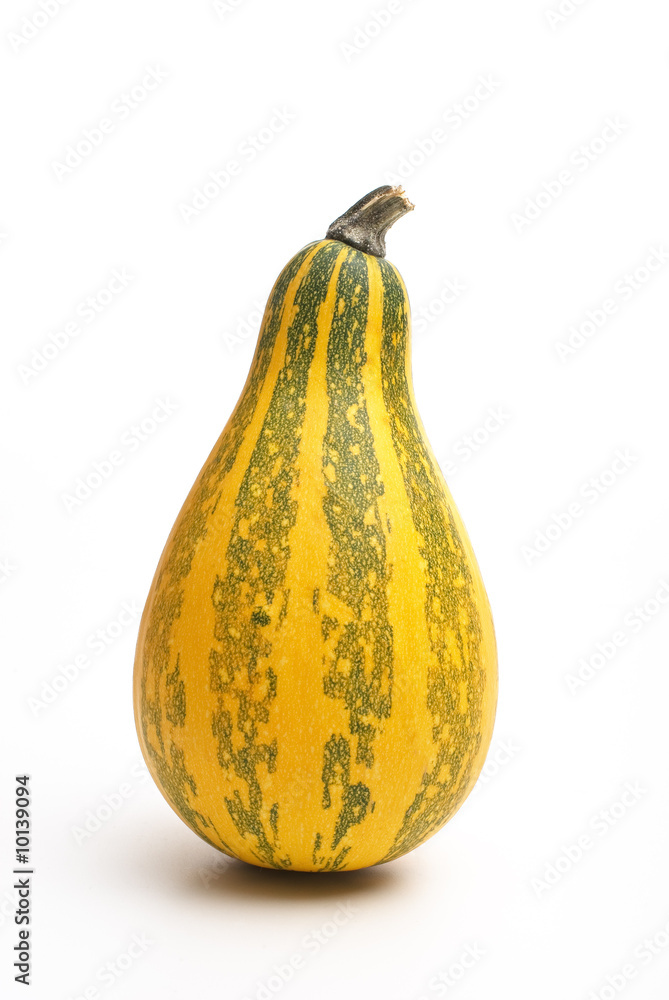One small pumpkin isolated on white One small pumpkin isolated on white