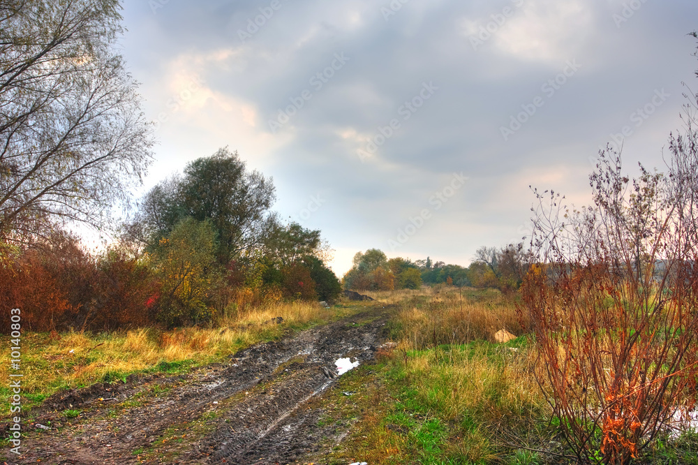 Fototapeta premium empty rural road